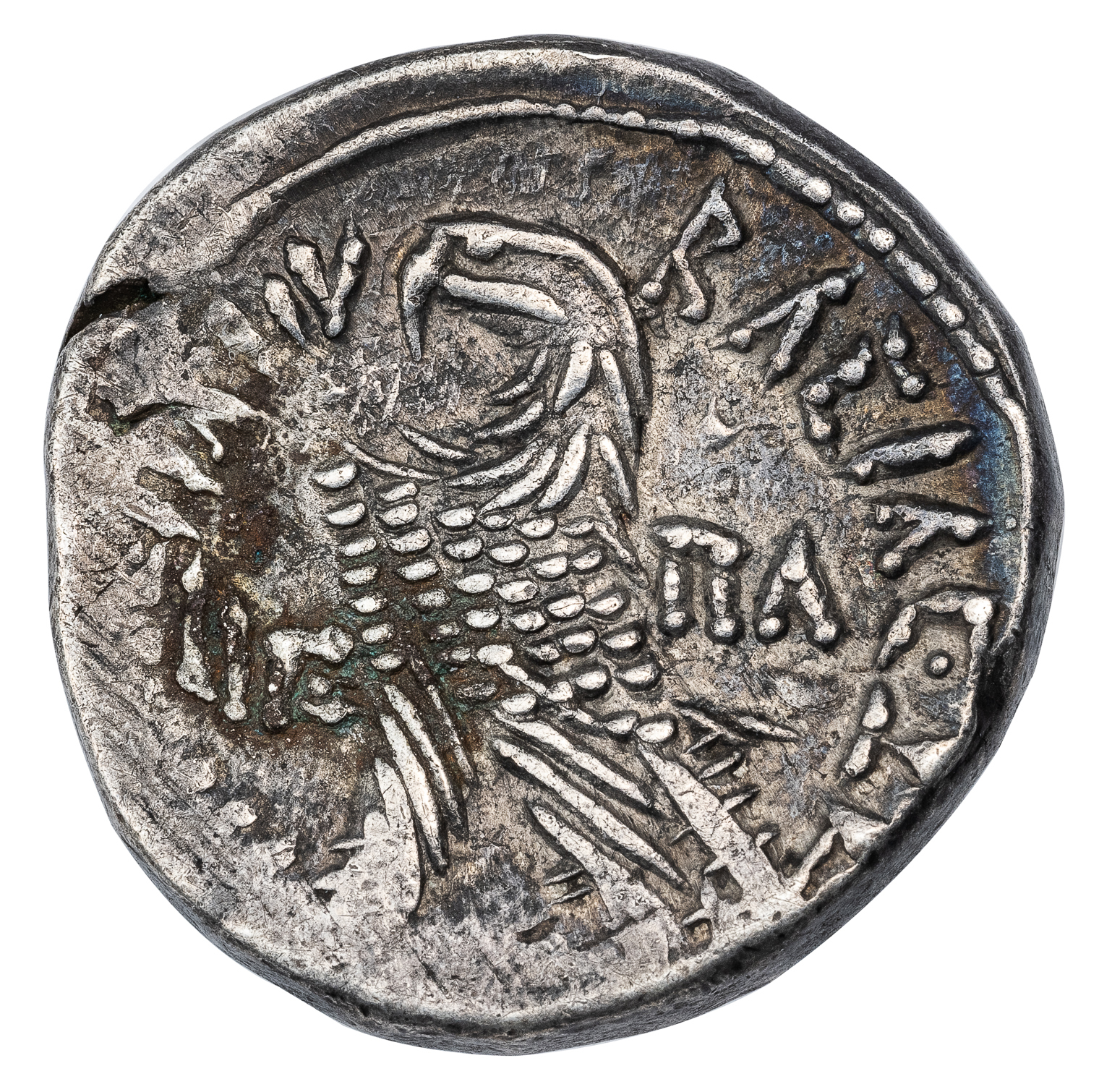 19141_REV
